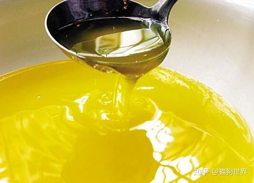 深耕品質，賦能品牌 探尋中國優質寵物食品OEM代工與供應鏈管理服務