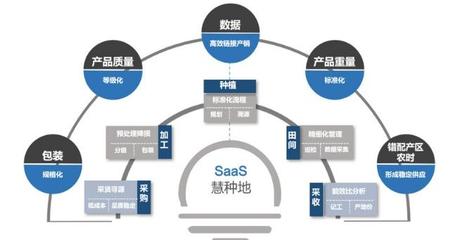 36氪首發(fā) | 中農(nóng)普惠獲4000萬元Pre-A輪融資，以種植SaaS為基石，深耕果蔬供應(yīng)鏈服務(wù)